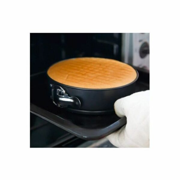 5 In 1 Springform Non Stick Aluminum Baking PanCake Pan